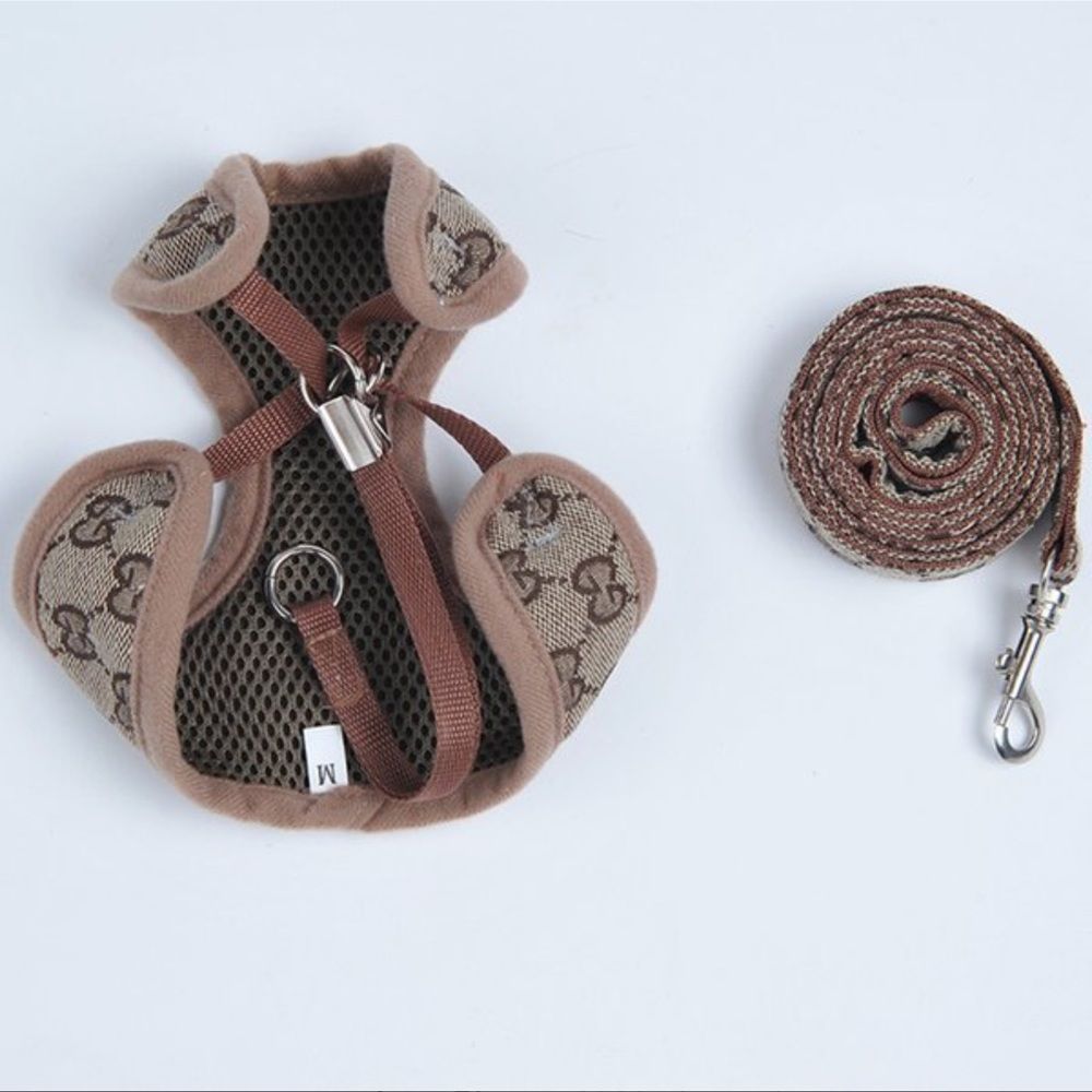 LAST ONE! XL Pet Harness & leash set